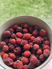 Yabani Kuşburnu Kurusu 150 gr