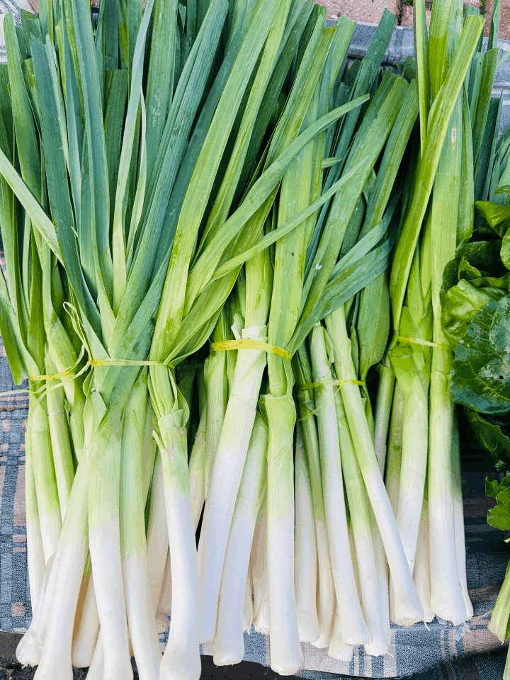 Pırasa (500-600 gr)