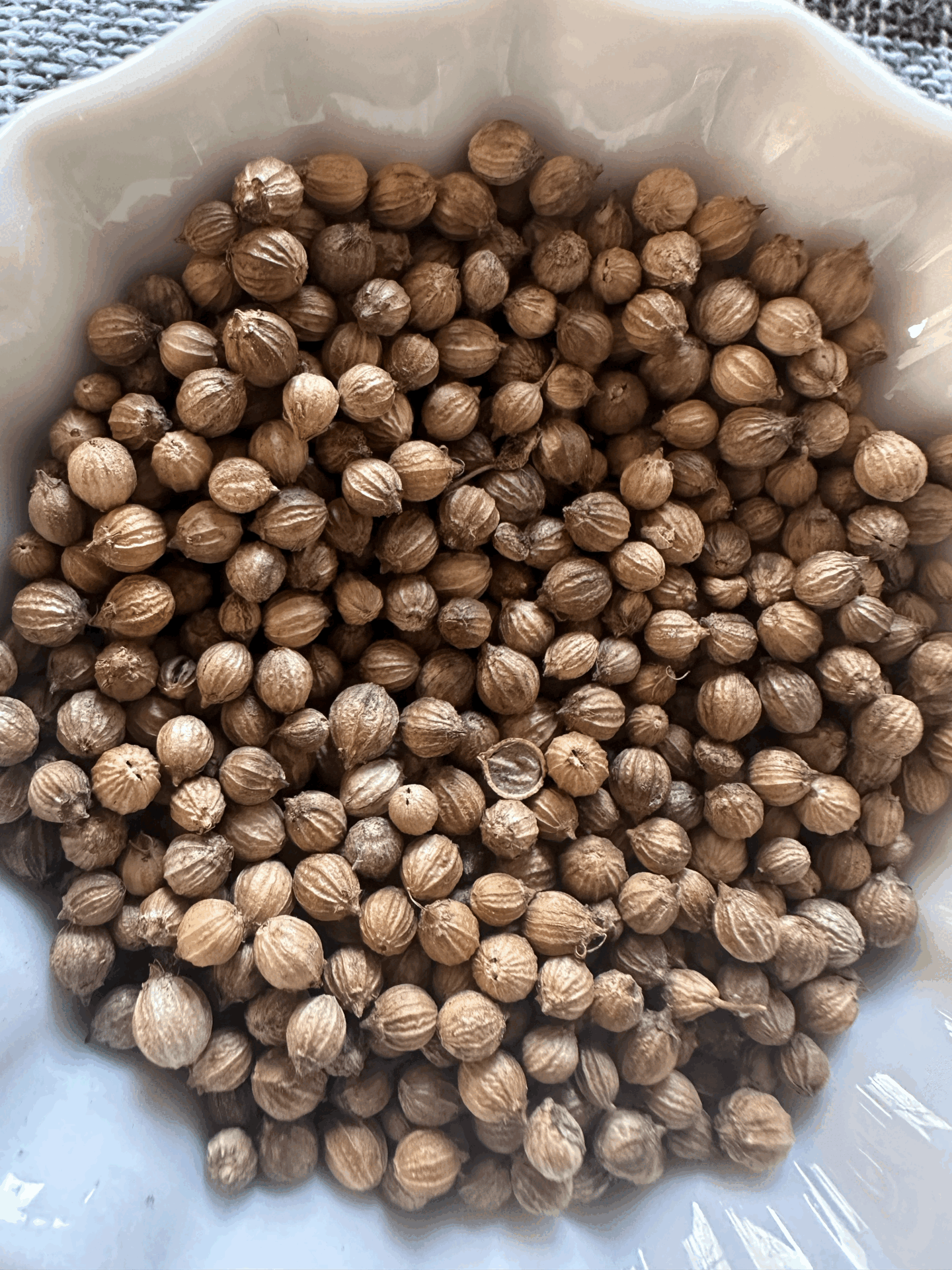 Kişniş Tohumu (4 gr)